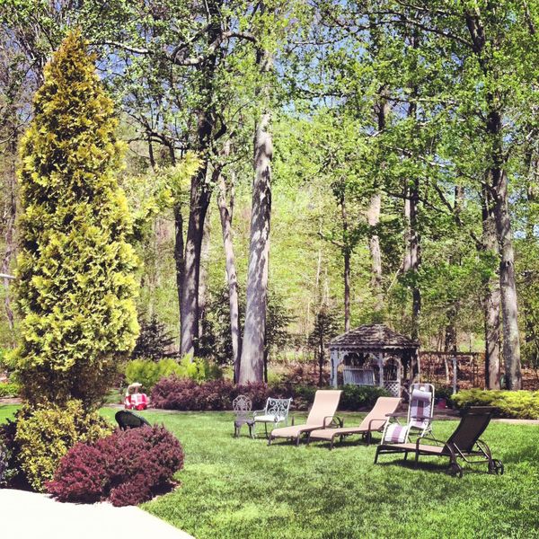 Royal Living Monsey Mansion 18 bedroom
