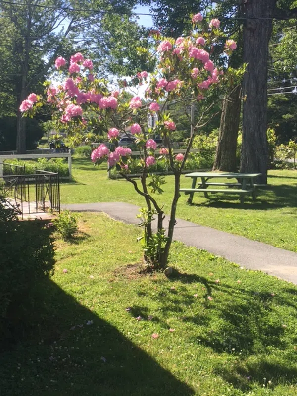 BEAUTIFUL  4 BR  HOME. THE PERFECT LOCATON  MASSIVE BEAUTIFUL GROUNDS HUD APPROVED. 