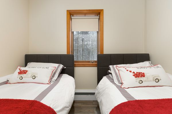 Vermont 3 bedroom chalet - Rent all 6 for 60 people!