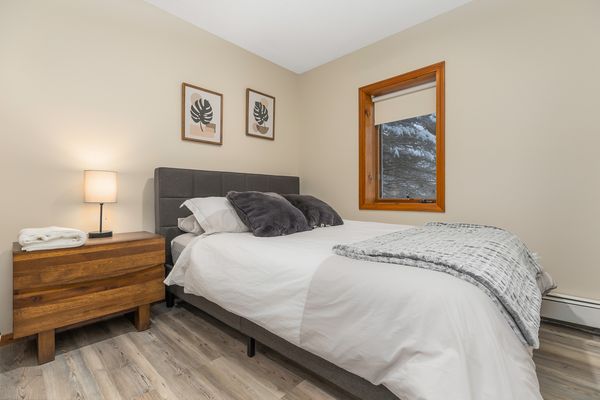 Vermont 3 bedroom chalet - Rent all 6 for 60 people!