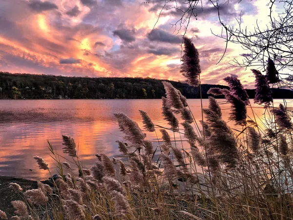 The Lakeview Escape 
