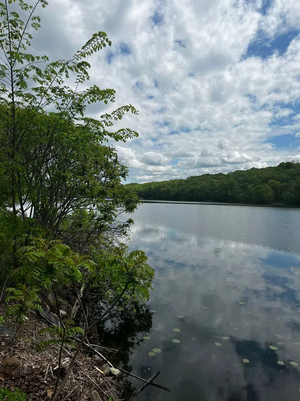 The Monroe Lakehouse
