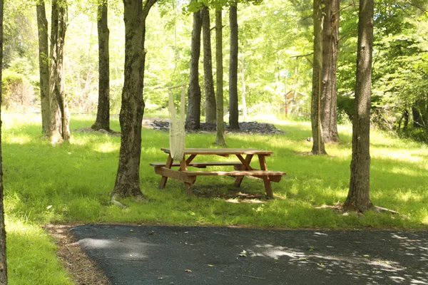 RELAX KOSHER  5 star home, Catskills