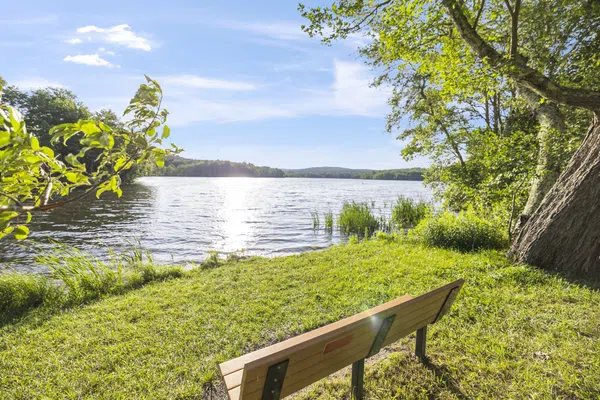 Peaceful Paradise: Dream Home in Woodridge