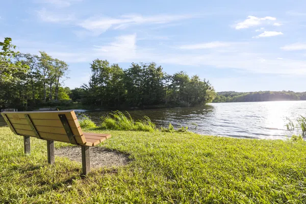 Peaceful Paradise: Dream Home in Woodridge